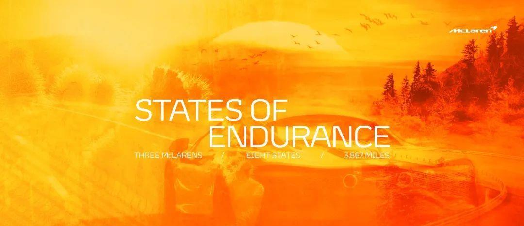 迈凯伦W, img 迈凯伦W, img