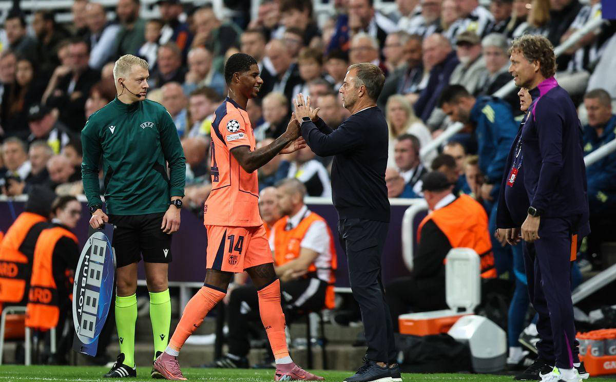 鲜的活力和, 增加了人们, itc