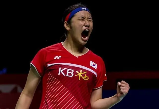 世锦赛亚军, 银泰国, div