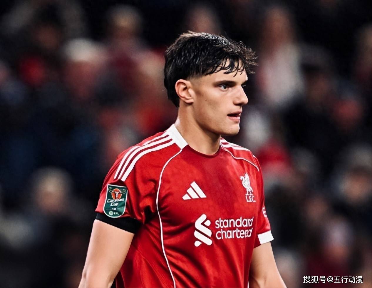 部决定不予, 式出场